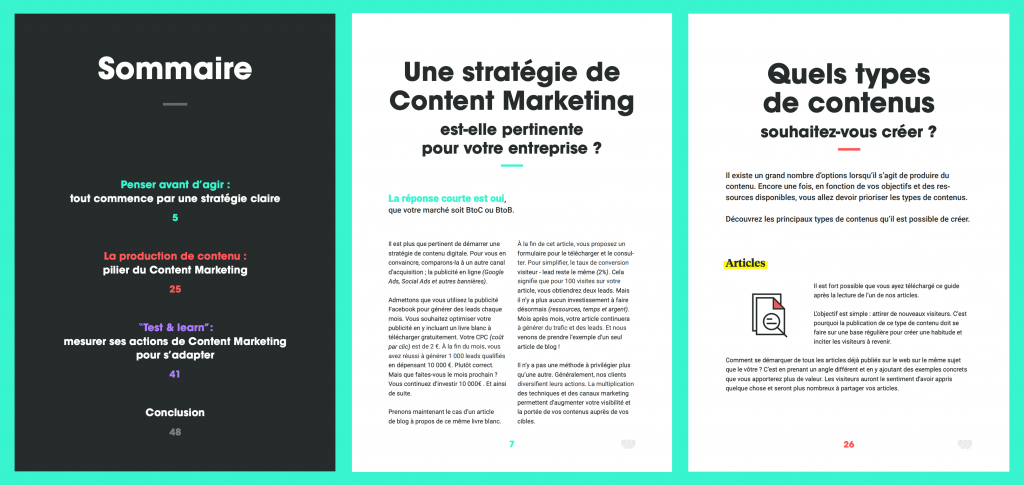 Livre blanc - le guide ultime - example YLW